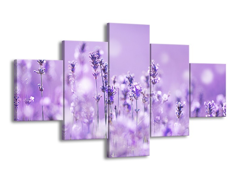 Canvas Schilderij Lavendel, Landelijk | Paars, Wit | 125x70cm 5Luik