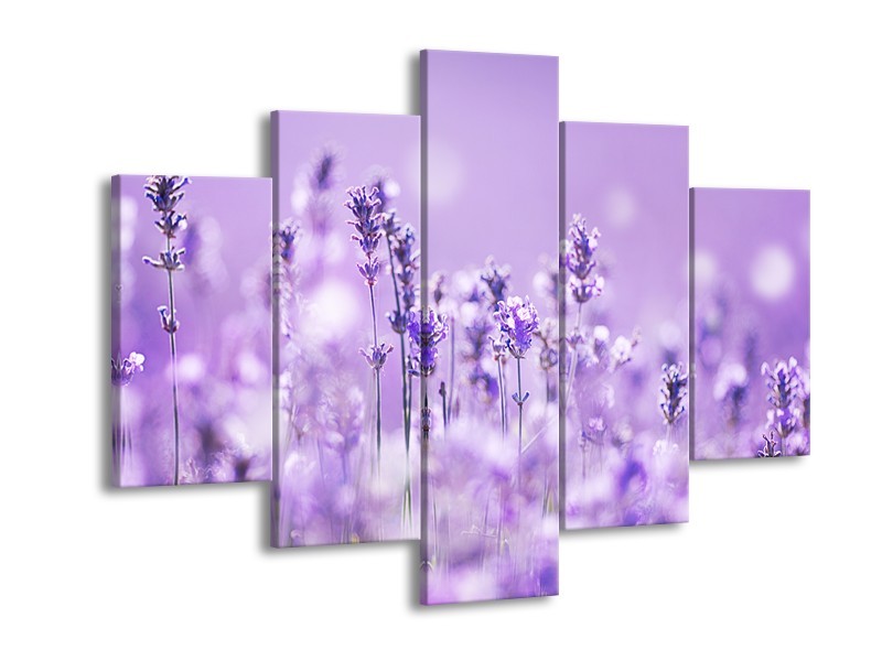 Canvas Schilderij Lavendel, Landelijk | Paars, Wit | 150x105cm 5Luik