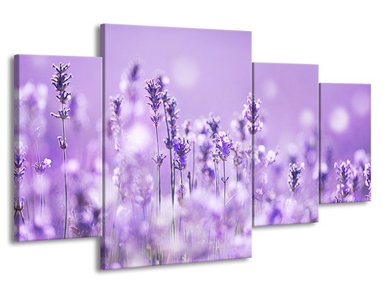 Canvas Schilderij Lavendel, Landelijk | Paars, Wit | 160x90cm 4Luik
