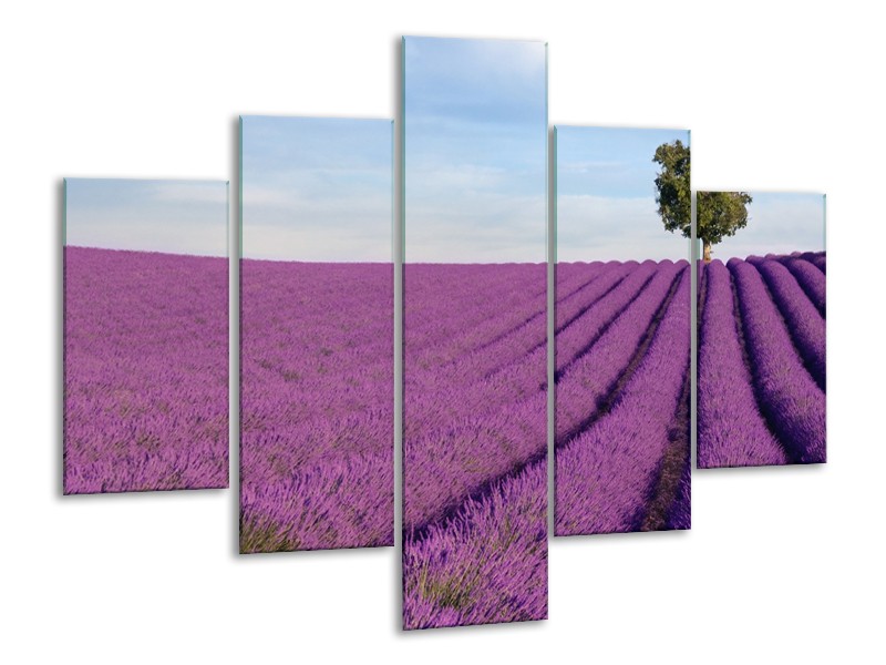 Canvas Schilderij Lavendel, Landelijk | Paars, Blauw, Groen | 100x70cm 5Luik