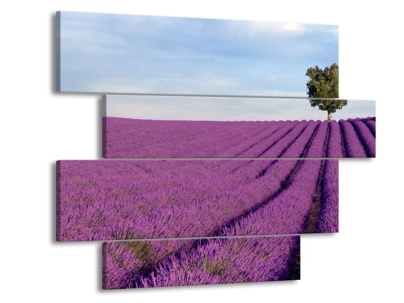 Glasschilderij Lavendel, Landelijk | Paars, Blauw, Groen | 115x85cm 4Luik