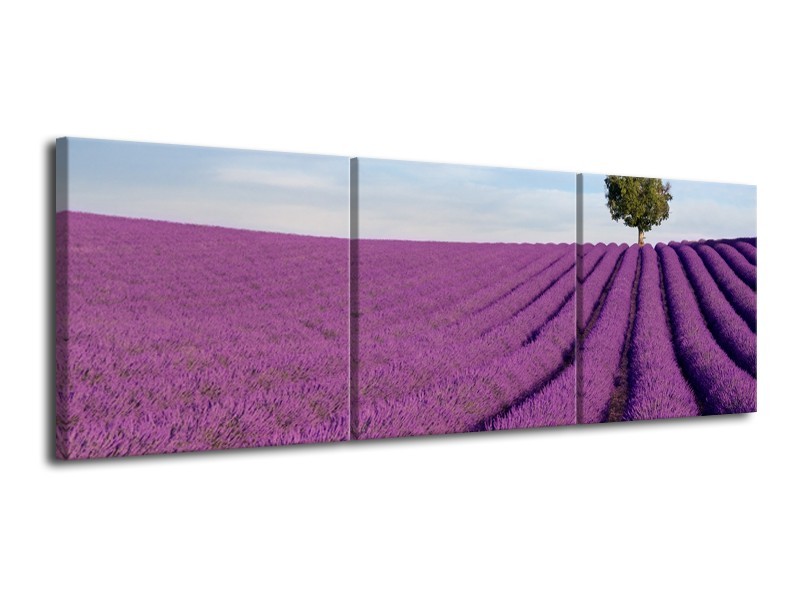 Glasschilderij Lavendel, Landelijk | Paars, Blauw, Groen | 120x40cm 3Luik