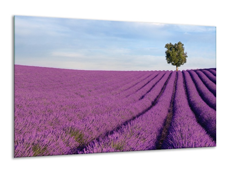 Canvas Schilderij Lavendel, Landelijk | Paars, Blauw, Groen | 120x70cm 1Luik