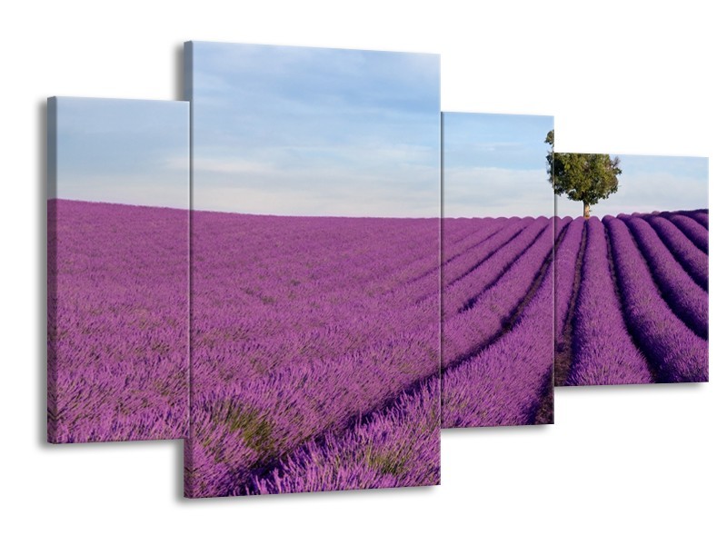 Canvas Schilderij Lavendel, Landelijk | Paars, Blauw, Groen | 120x75cm 4Luik