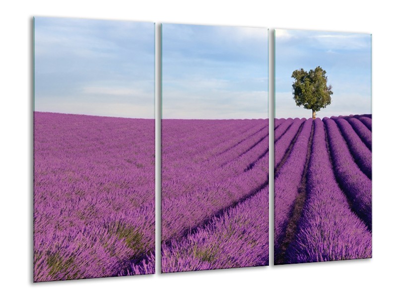 Glasschilderij Lavendel, Landelijk | Paars, Blauw, Groen | 120x80cm 3Luik