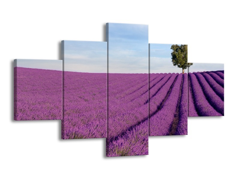 Glasschilderij Lavendel, Landelijk | Paars, Blauw, Groen | 125x70cm 5Luik
