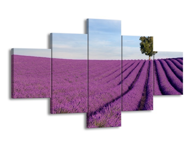 Canvas Schilderij Lavendel, Landelijk | Paars, Blauw, Groen | 125x70cm 5Luik
