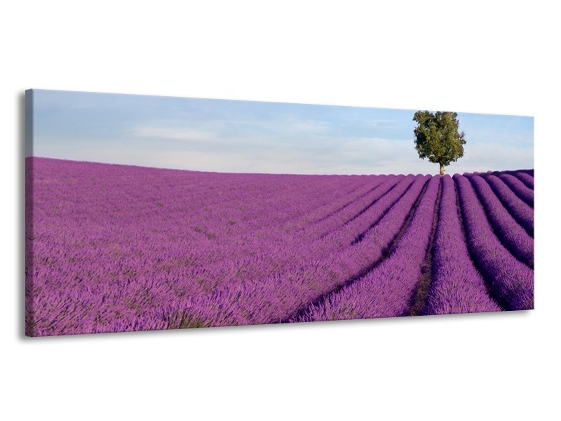 Canvas Schilderij Lavendel, Landelijk | Paars, Blauw, Groen | 145x58cm 1Luik