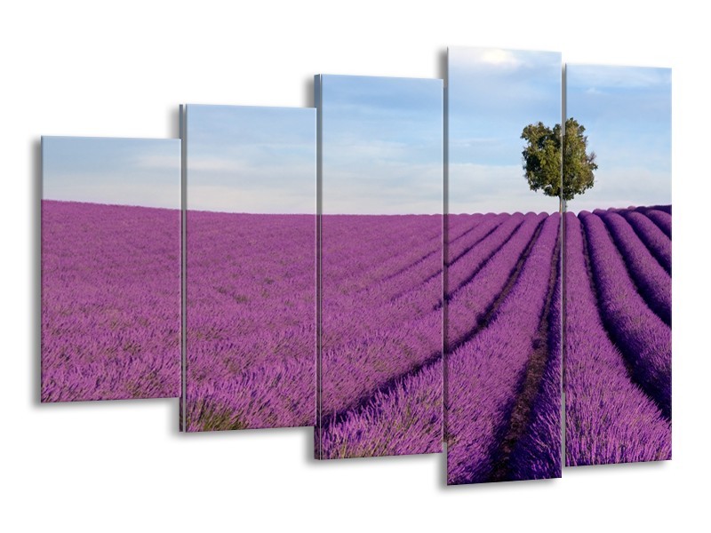 Glasschilderij Lavendel, Landelijk | Paars, Blauw, Groen | 150x100cm 5Luik