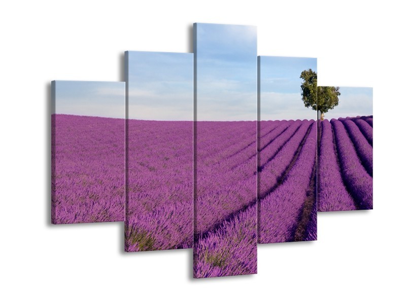 Canvas Schilderij Lavendel, Landelijk | Paars, Blauw, Groen | 150x105cm 5Luik