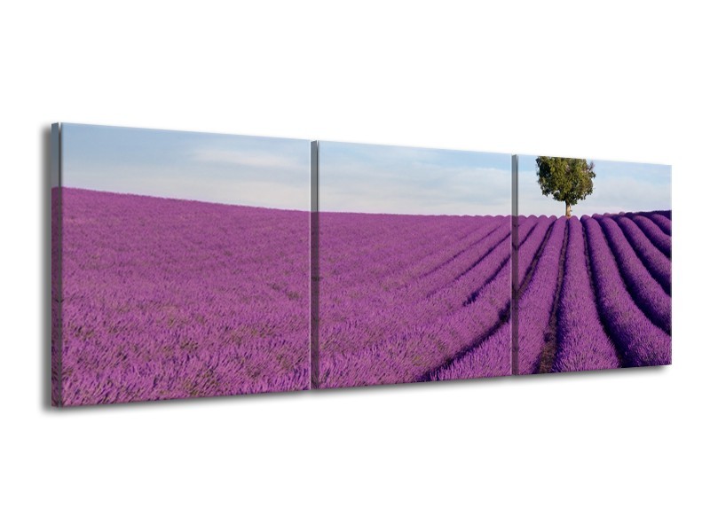 Glasschilderij Lavendel, Landelijk | Paars, Blauw, Groen | 150x50cm 3Luik