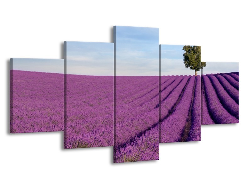 Canvas Schilderij Lavendel, Landelijk | Paars, Blauw, Groen | 150x80cm 5Luik