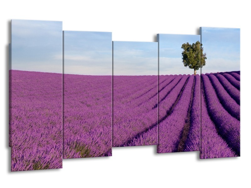 Glasschilderij Lavendel, Landelijk | Paars, Blauw, Groen | 150x80cm 5Luik