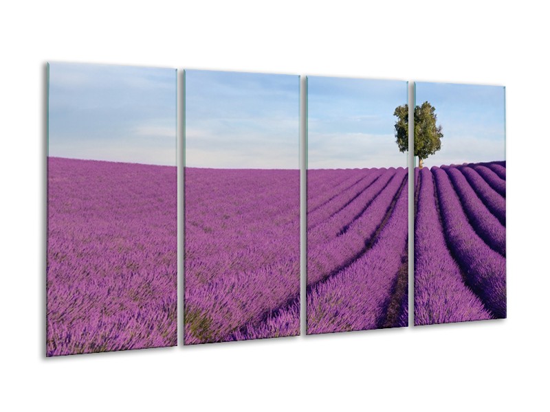 Glasschilderij Lavendel, Landelijk | Paars, Blauw, Groen | 160x80cm 4Luik