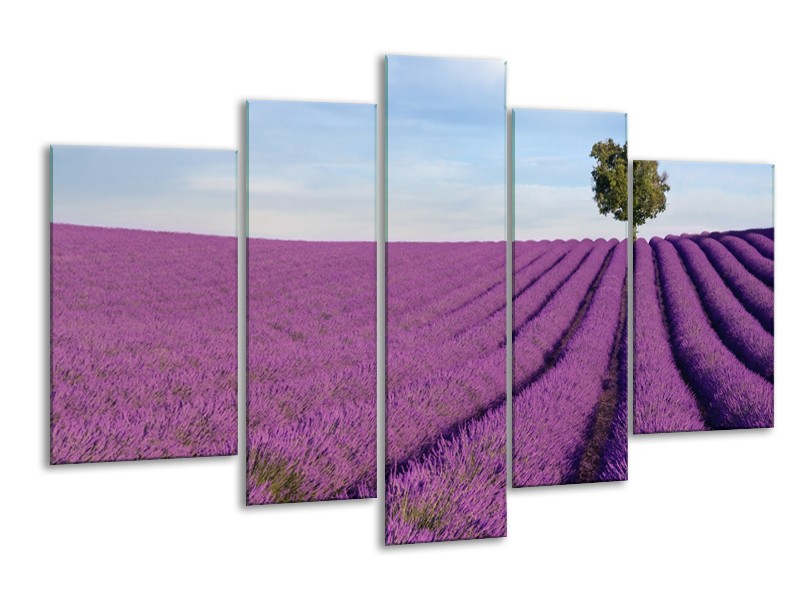 Canvas Schilderij Lavendel, Landelijk | Paars, Blauw, Groen | 170x100cm 5Luik