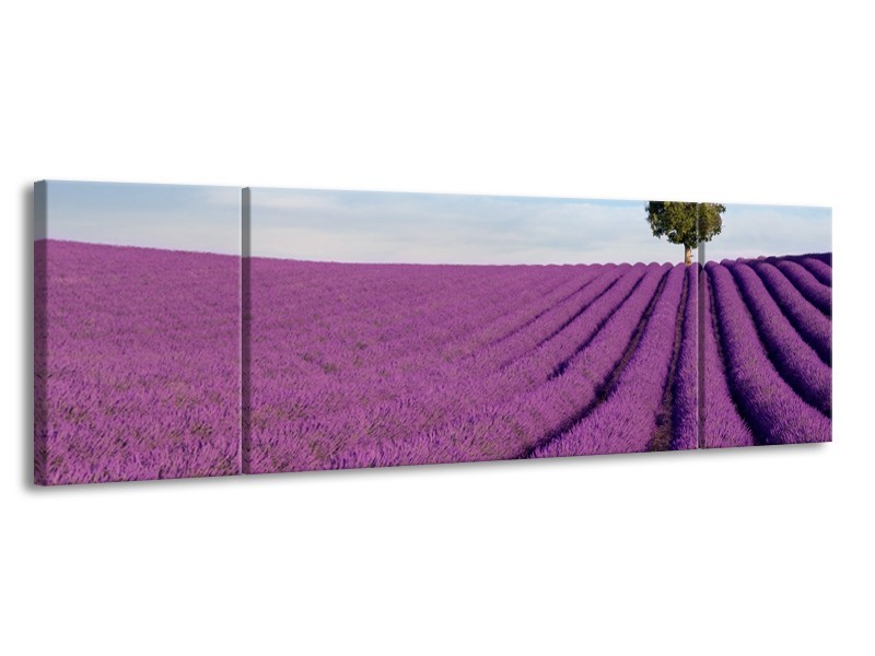 Canvas Schilderij Lavendel, Landelijk | Paars, Blauw, Groen | 170x50cm 3Luik