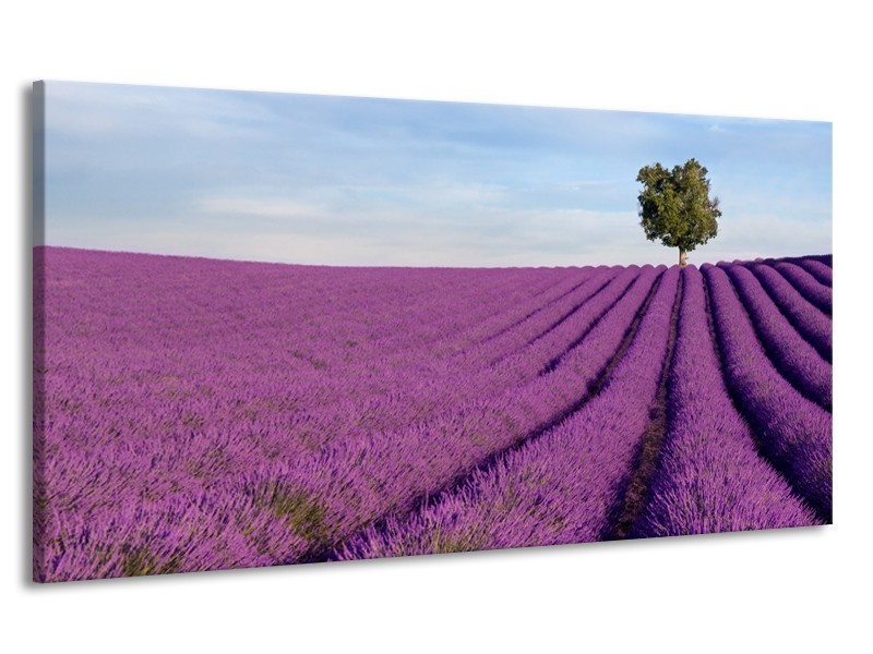 Canvas Schilderij Lavendel, Landelijk | Paars, Blauw, Groen | 170x90cm 1Luik
