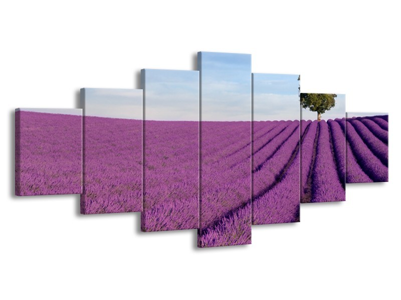 Glasschilderij Lavendel, Landelijk | Paars, Blauw, Groen | 210x100cm 7Luik