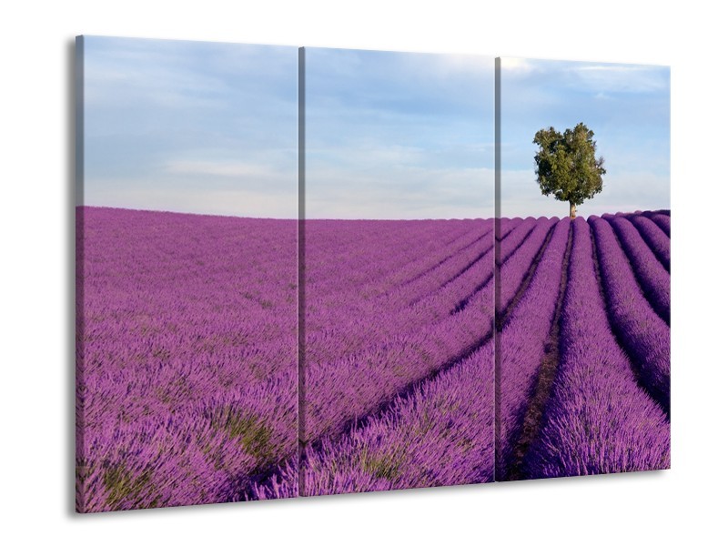 Glasschilderij Lavendel, Landelijk | Paars, Blauw, Groen | 60x90cm 3Luik