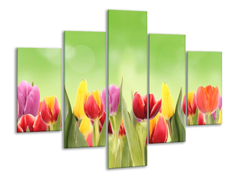 Canvas Schilderij Tulpen, Bloemen | Groen, Rood, Geel | 100x70cm 5Luik