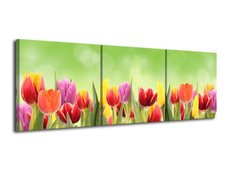Canvas Schilderij Tulpen, Bloemen | Groen, Rood, Geel | 120x40cm 3Luik