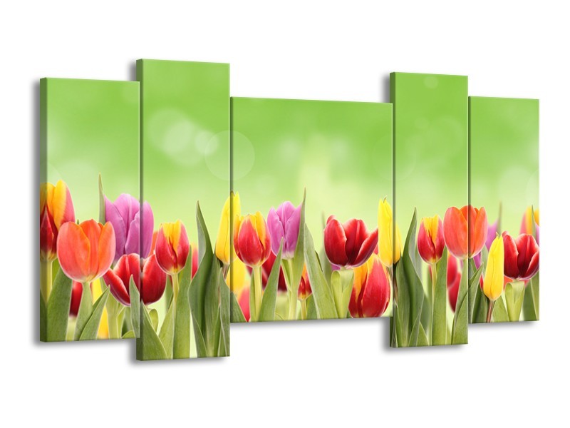 Glasschilderij Tulpen, Bloemen | Groen, Rood, Geel | 120x65cm 5Luik