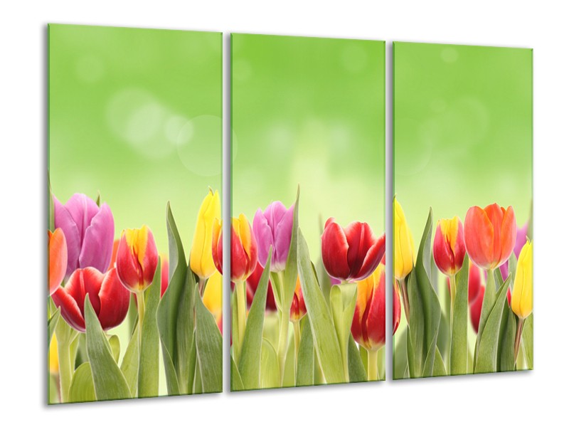Canvas Schilderij Tulpen, Bloemen | Groen, Rood, Geel | 120x80cm 3Luik