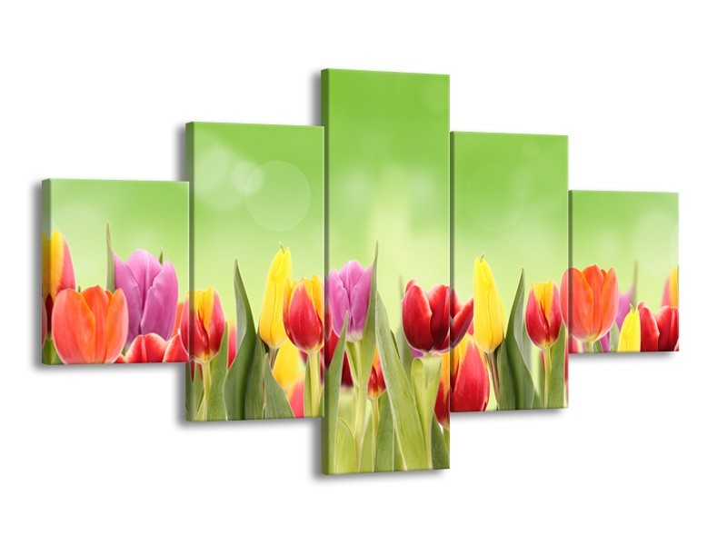 Canvas Schilderij Tulpen, Bloemen | Groen, Rood, Geel | 125x70cm 5Luik