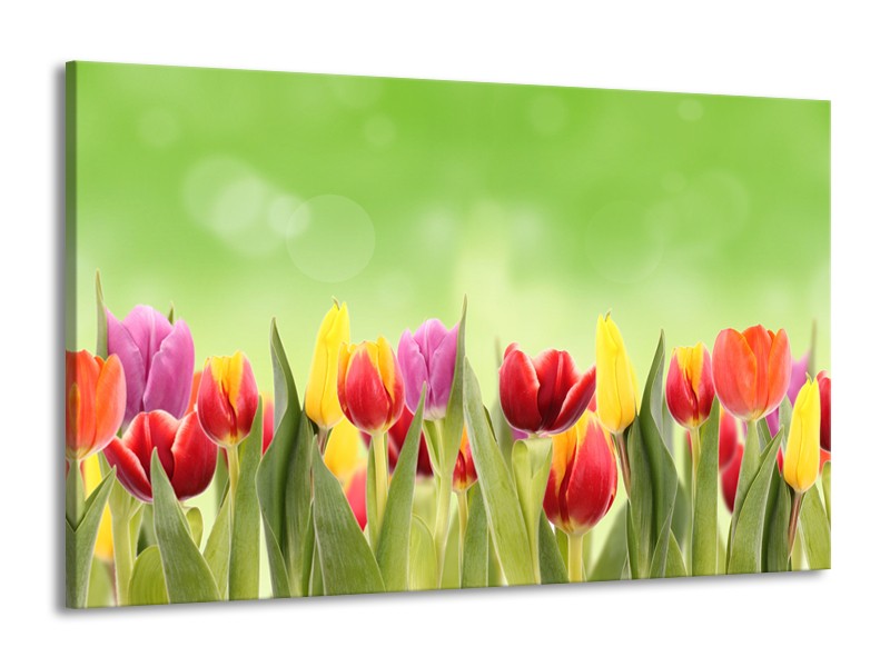 Canvas Schilderij Tulpen, Bloemen | Groen, Rood, Geel | 140x90cm 1Luik
