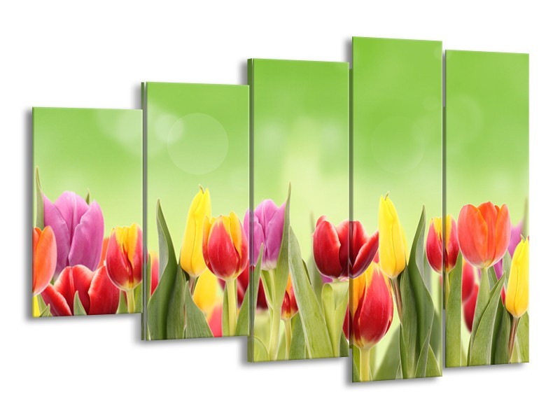 Glasschilderij Tulpen, Bloemen | Groen, Rood, Geel | 150x100cm 5Luik