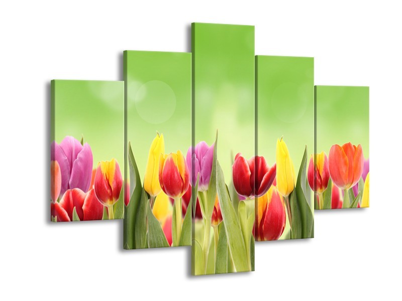 Canvas Schilderij Tulpen, Bloemen | Groen, Rood, Geel | 150x105cm 5Luik