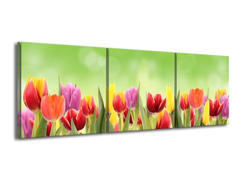 Canvas Schilderij Tulpen, Bloemen | Groen, Rood, Geel | 150x50cm 3Luik