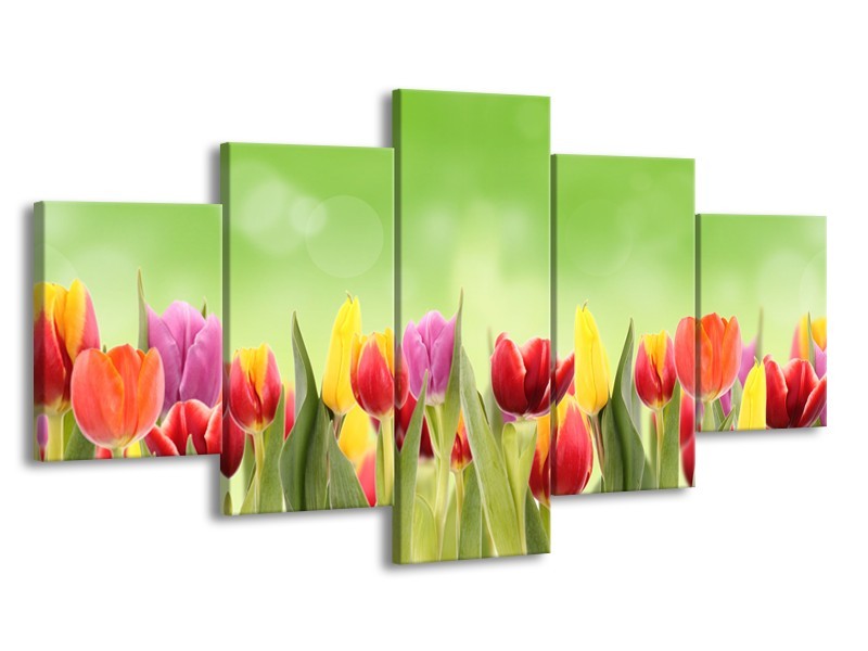 Glasschilderij Tulpen, Bloemen | Groen, Rood, Geel | 150x80cm 5Luik