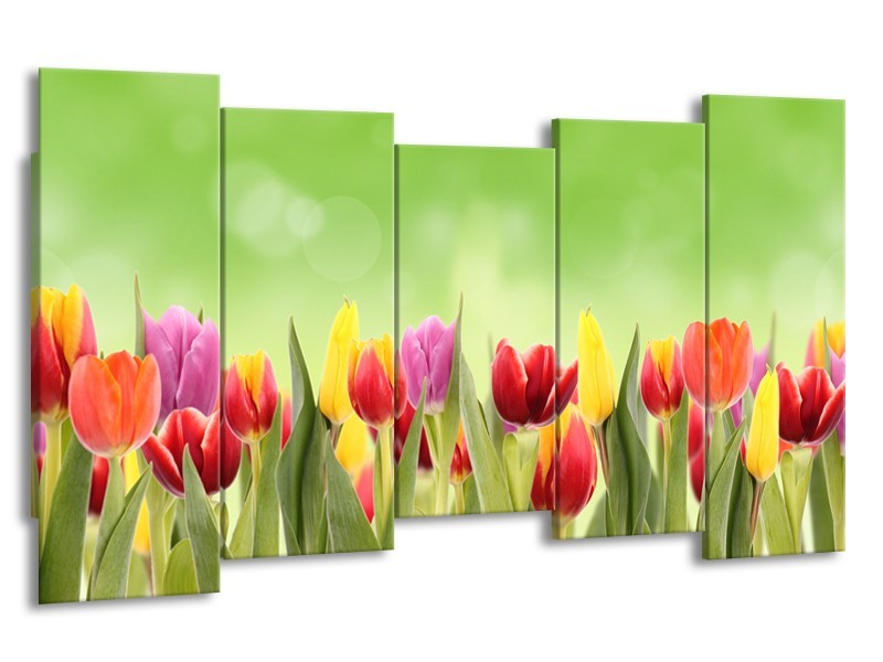 Glasschilderij Tulpen, Bloemen | Groen, Rood, Geel | 150x80cm 5Luik