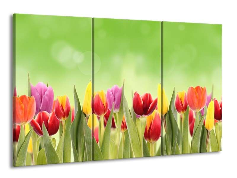 Canvas Schilderij Tulpen, Bloemen | Groen, Rood, Geel | 165x100cm 3Luik