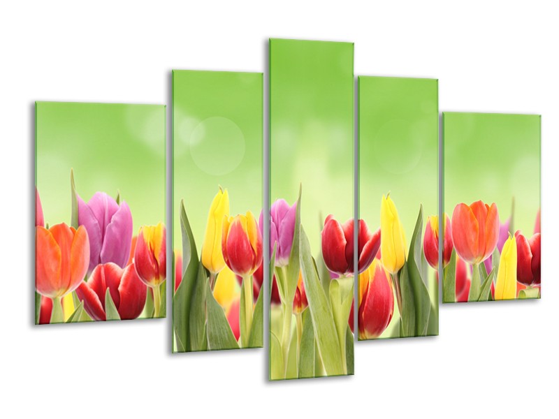 Glasschilderij Tulpen, Bloemen | Groen, Rood, Geel | 170x100cm 5Luik