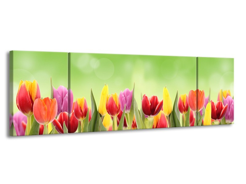 Canvas Schilderij Tulpen, Bloemen | Groen, Rood, Geel | 170x50cm 3Luik