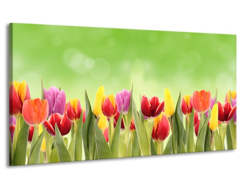 Canvas Schilderij Tulpen, Bloemen | Groen, Rood, Geel | 170x90cm 1Luik