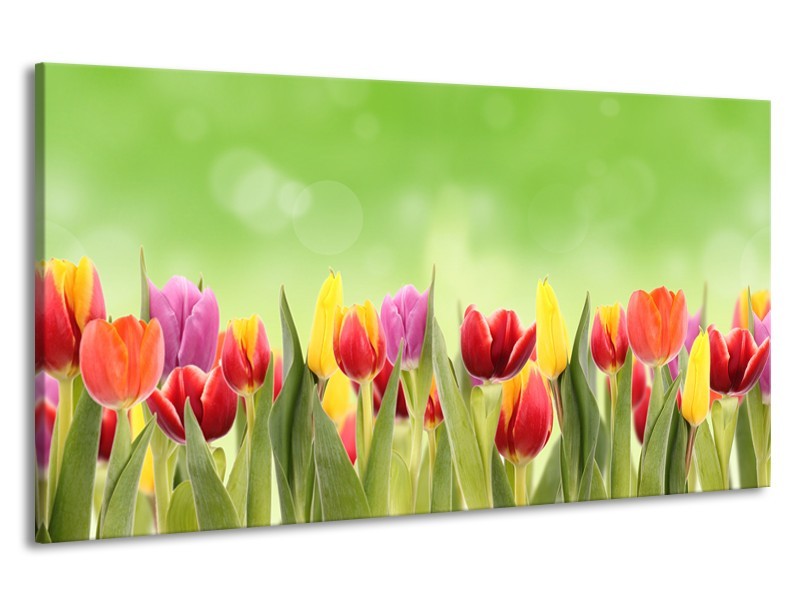 Canvas Schilderij Tulpen, Bloemen | Groen, Rood, Geel | 190x100cm 1Luik