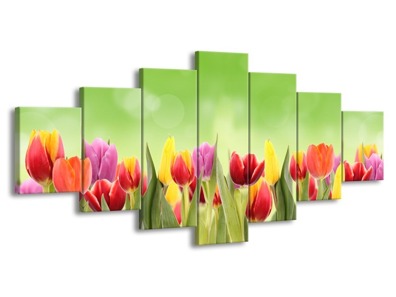 Canvas Schilderij Tulpen, Bloemen | Groen, Rood, Geel | 210x100cm 7Luik