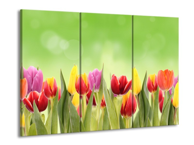 Glasschilderij Tulpen, Bloemen | Groen, Rood, Geel | 60x90cm 3Luik