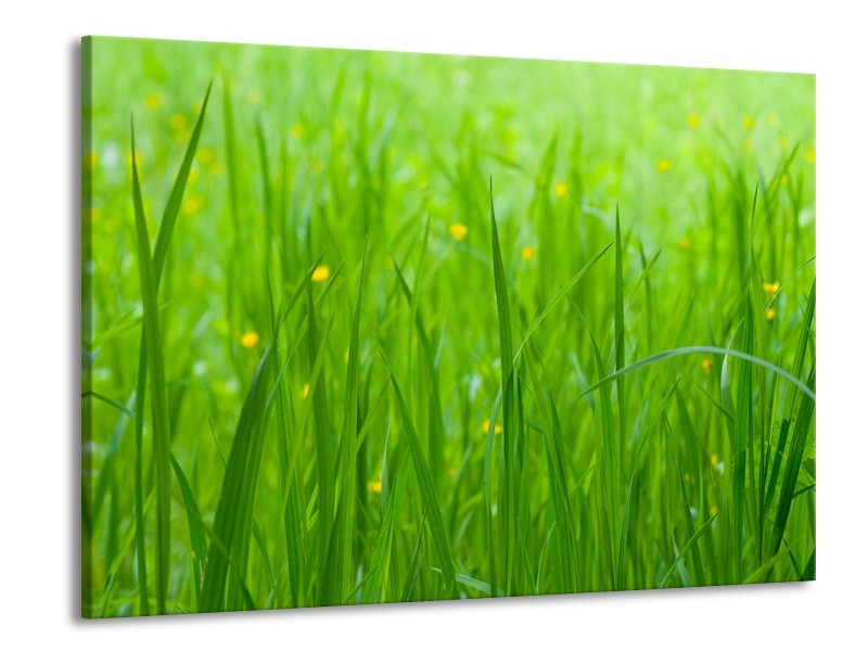 Canvas Schilderij Natuur, Gras | Zwart, Groen | 100x70cm 1Luik