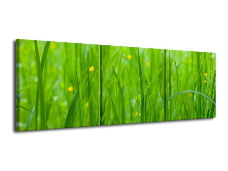 Canvas Schilderij Natuur, Gras | Zwart, Groen | 120x40cm 3Luik