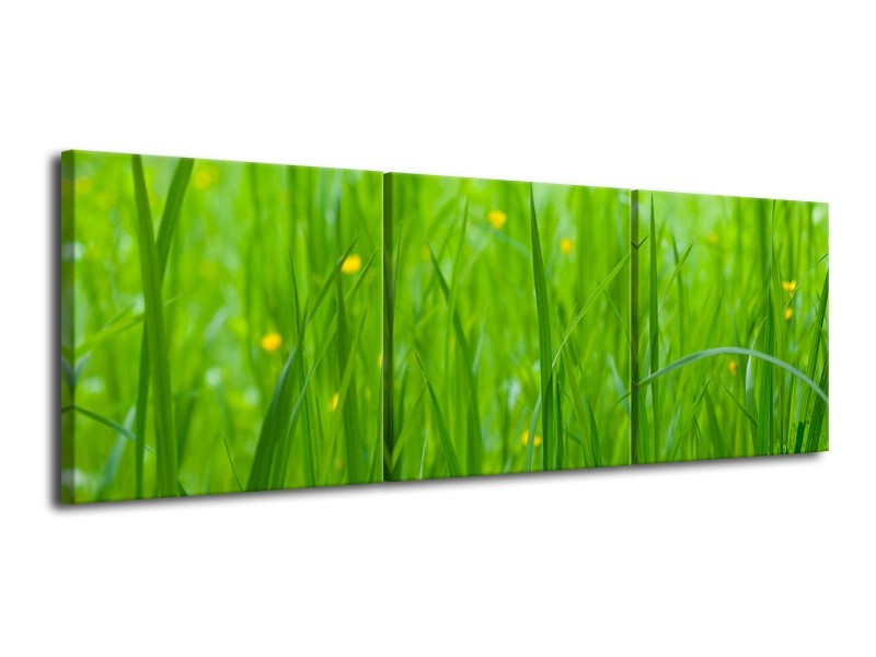Glasschilderij Natuur, Gras | Zwart, Groen | 120x40cm 3Luik