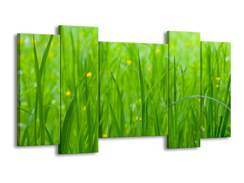 Glasschilderij Natuur, Gras | Zwart, Groen | 120x65cm 5Luik