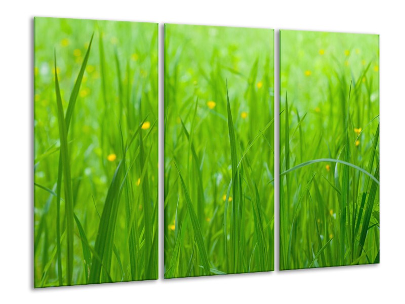 Canvas Schilderij Natuur, Gras | Zwart, Groen | 120x80cm 3Luik