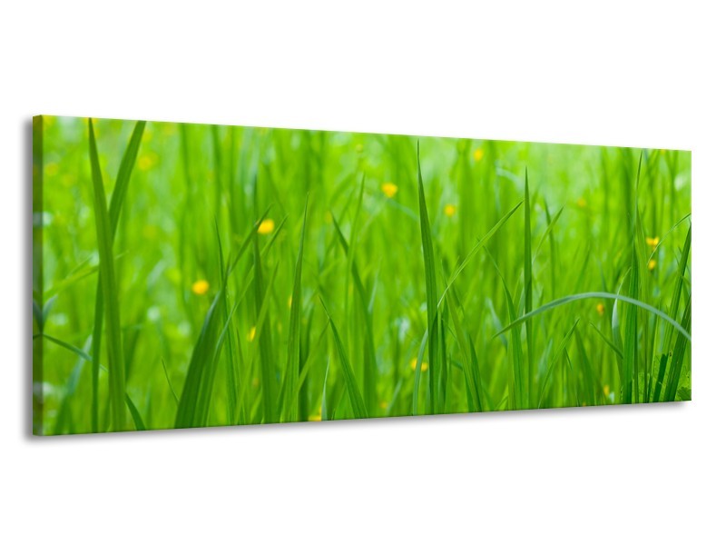 Canvas Schilderij Natuur, Gras | Zwart, Groen | 145x58cm 1Luik