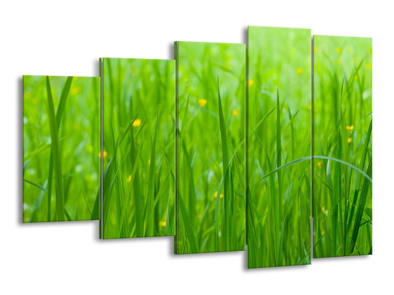 Glasschilderij Natuur, Gras | Zwart, Groen | 150x100cm 5Luik