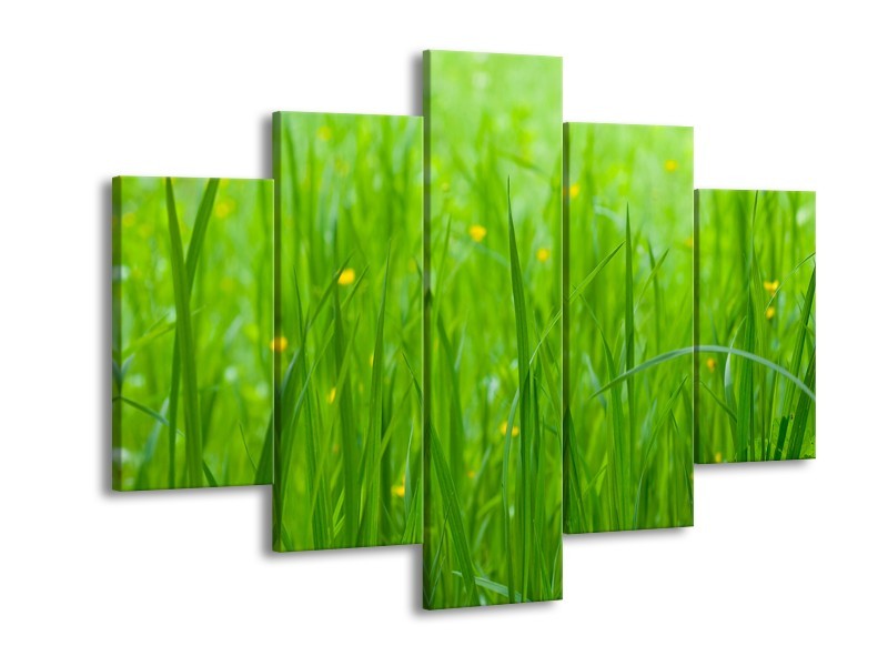 Canvas Schilderij Natuur, Gras | Zwart, Groen | 150x105cm 5Luik