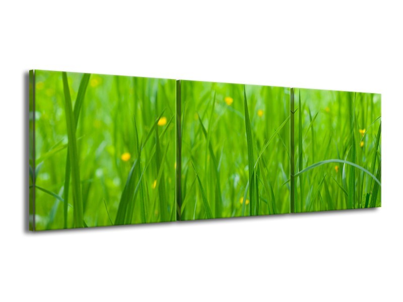 Canvas Schilderij Natuur, Gras | Zwart, Groen | 150x50cm 3Luik